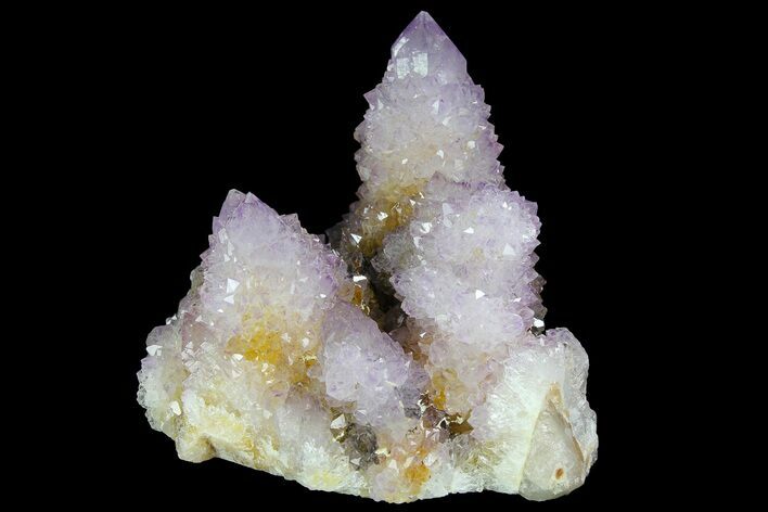 Cactus Quartz (Amethyst) Crystal Cluster - South Africa #180722